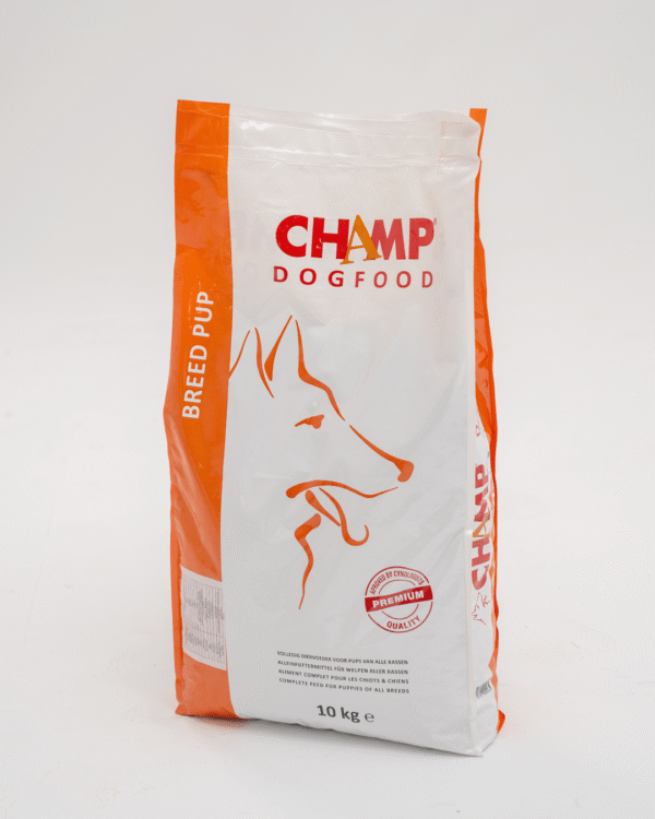 Champ - Breed Pup